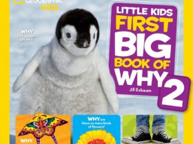 Little Kids First Big Book of Why 2