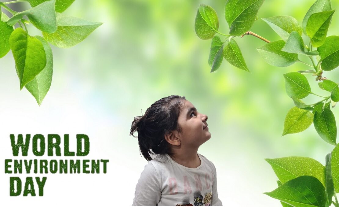 plantation activity World environment day